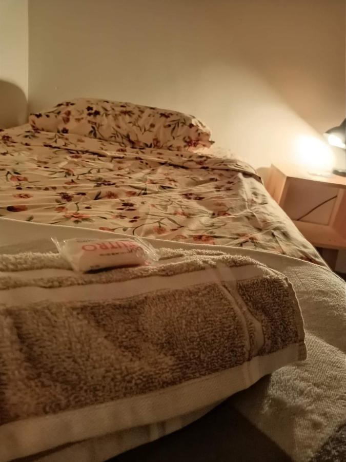 Hostal Del Centro En Slp San Luis Potosi Ngoại thất bức ảnh